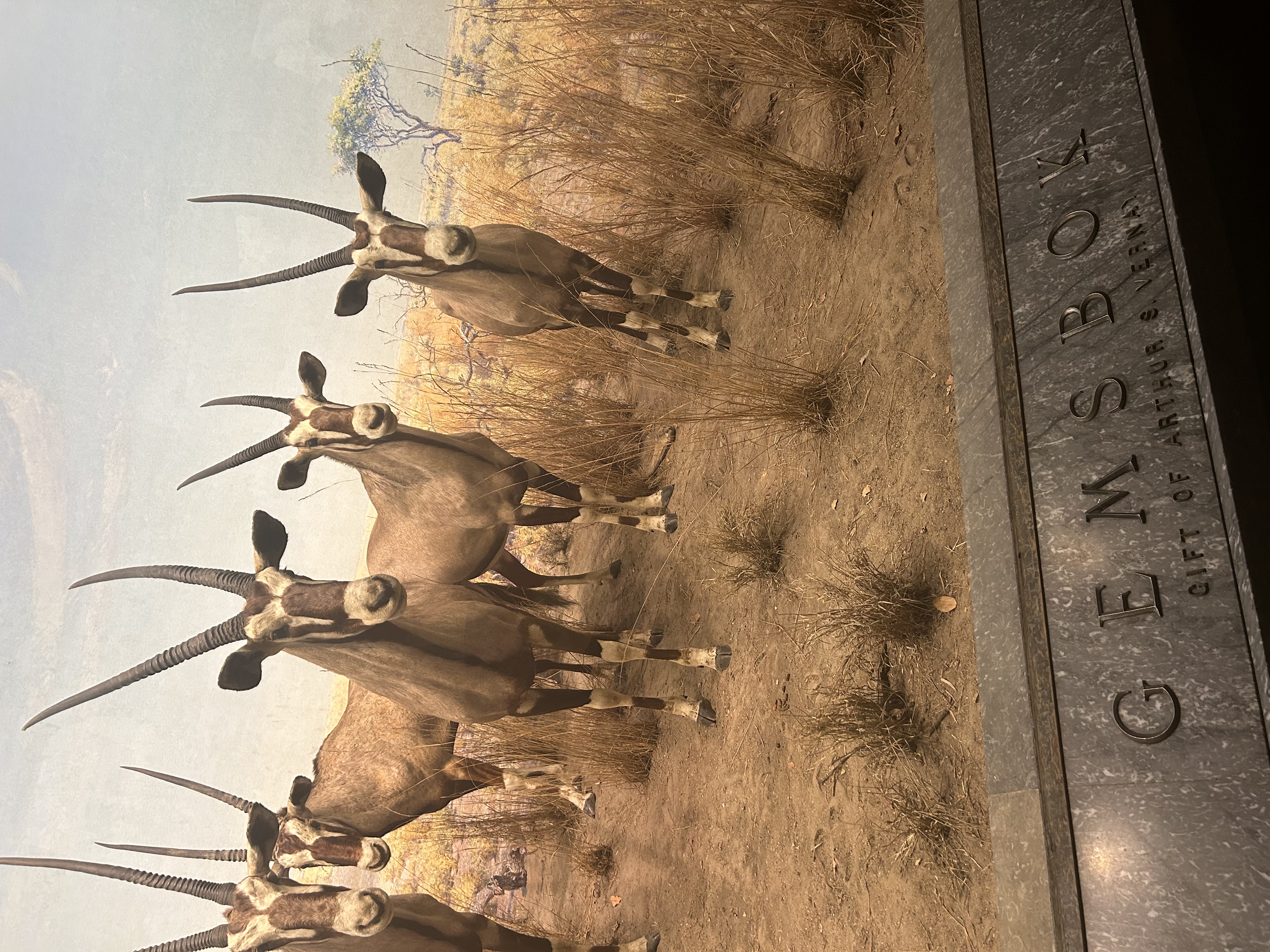 Claremont Rising Program - IMG_5508