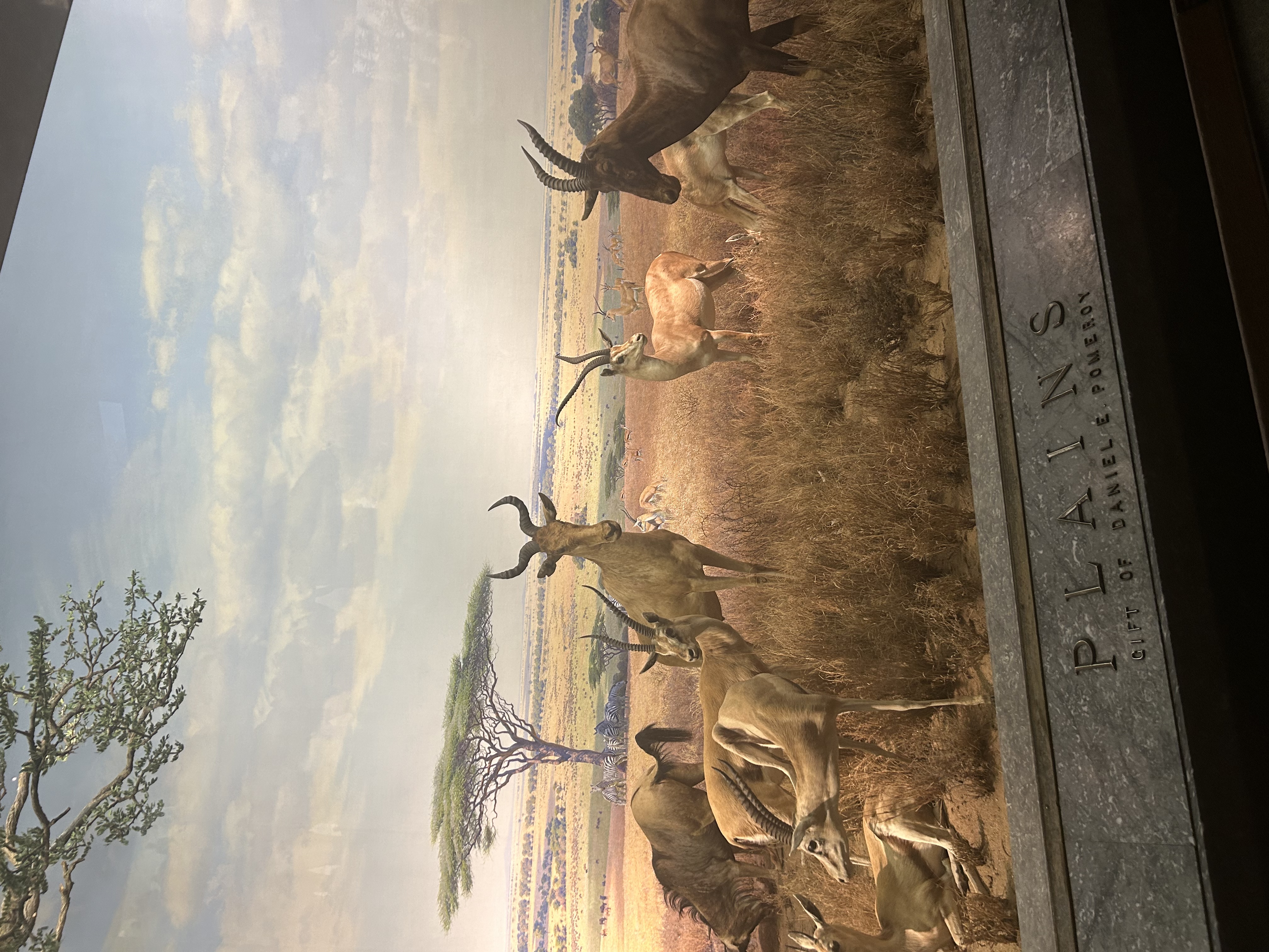 Claremont Rising Program - IMG_5515