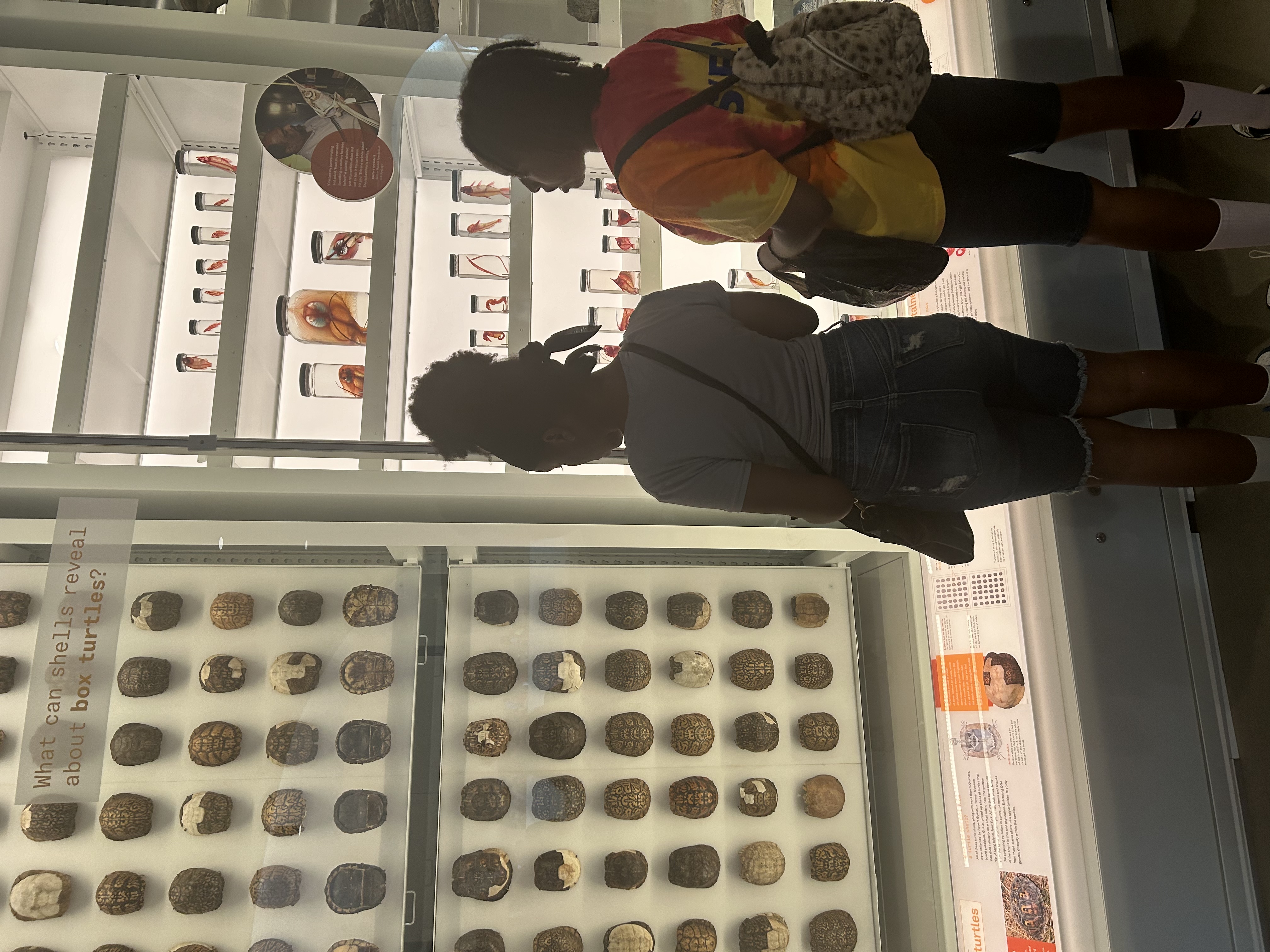 Claremont Rising Program - IMG_5526