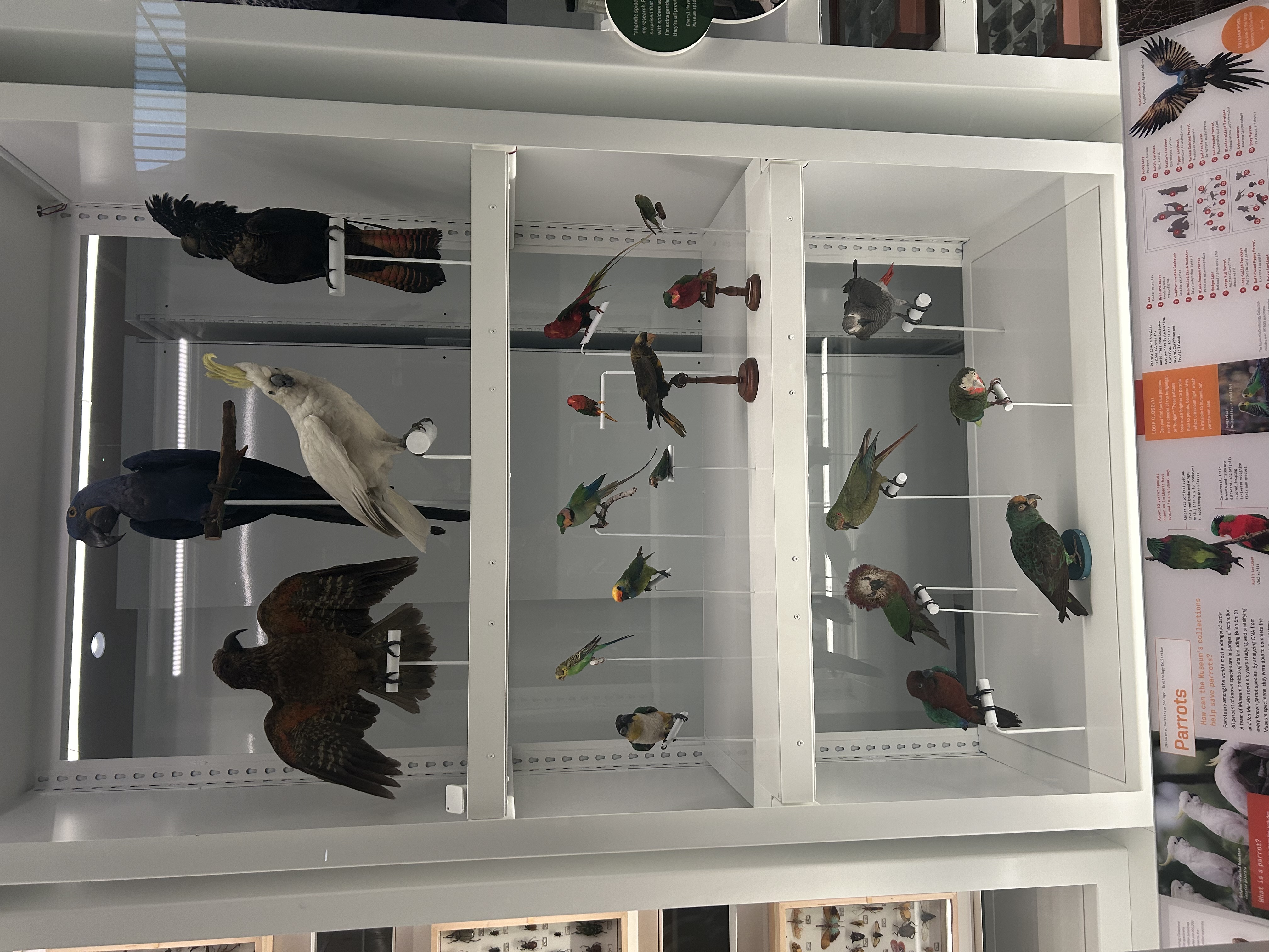 Claremont Rising Program - IMG_5527