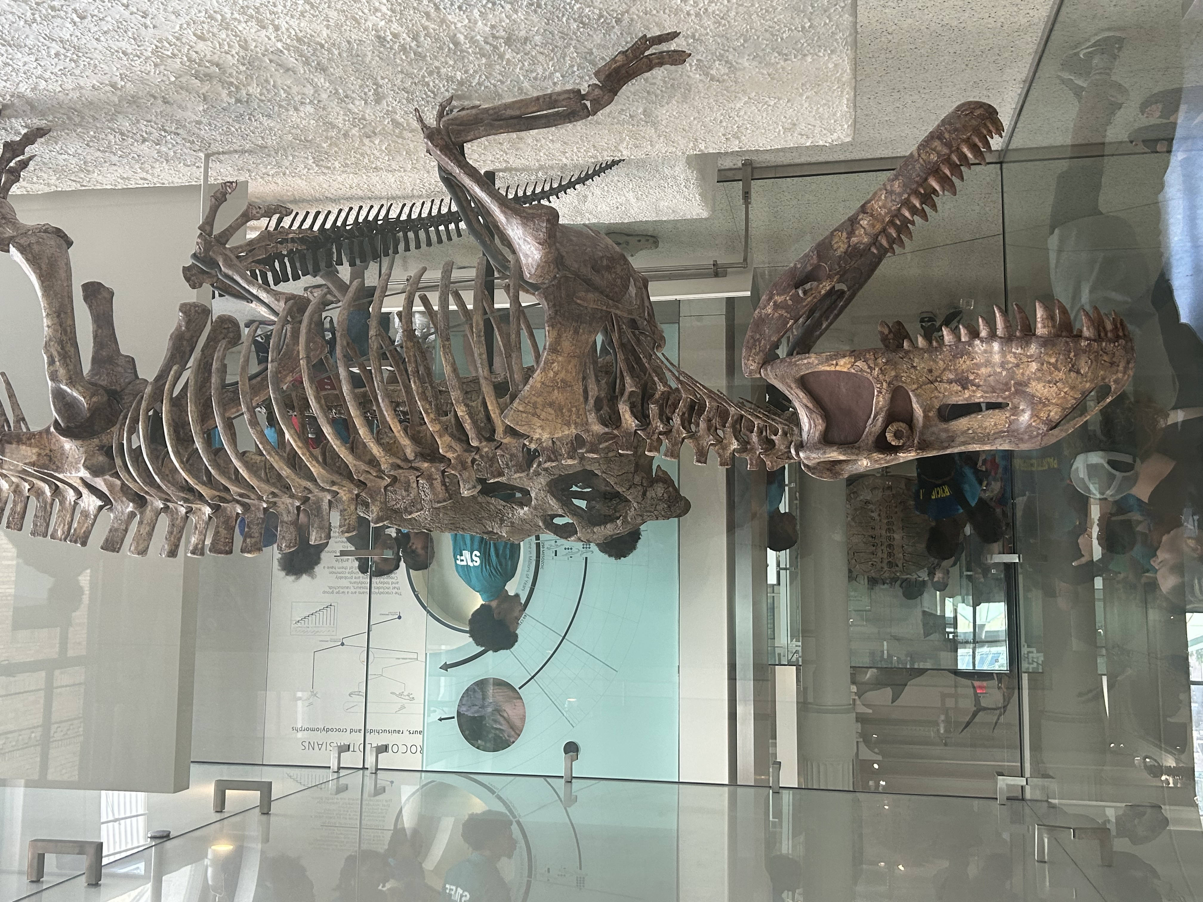 Claremont Rising Program - IMG_5534