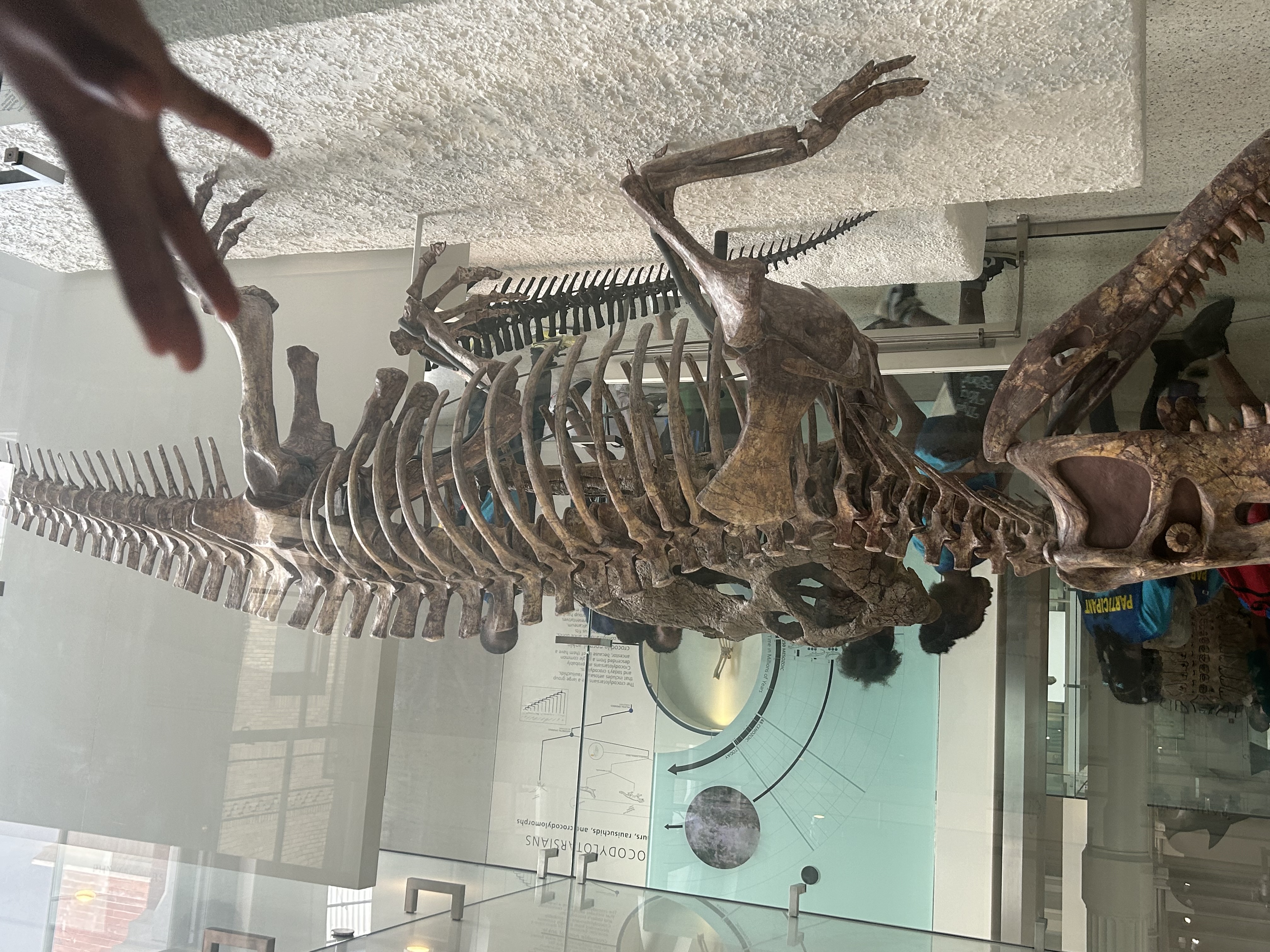 Claremont Rising Program - IMG_5535